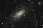 NGC3621